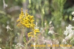 IMG_1099