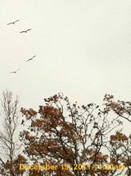 IMG_0810