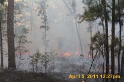 IMG_2506