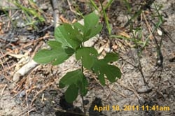 IMG_2771