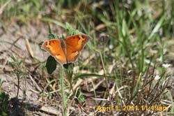 IMG_2536
