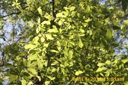 IMG_2556