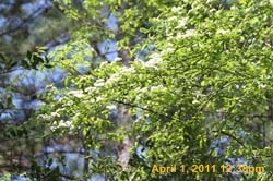 IMG_2559