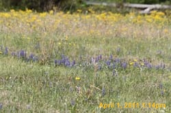 IMG_2565