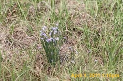 IMG_2572