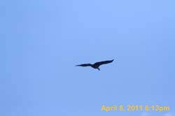 IMG_2598