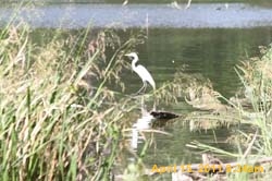 IMG_2676