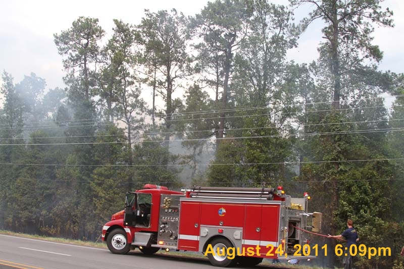 IMG_3799