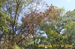 IMG_3612