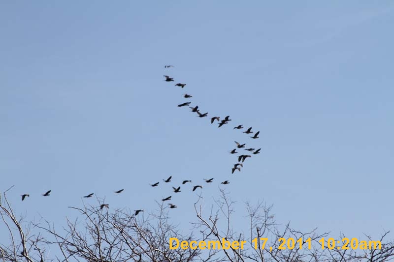 IMG_4728