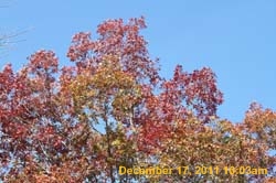 IMG_4712