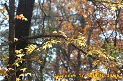 IMG_4715