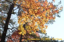 IMG_4716