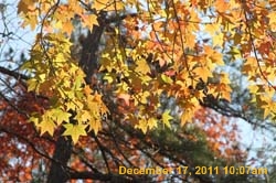 IMG_4717