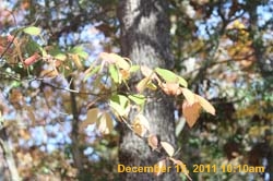 IMG_4723