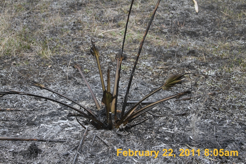 IMG_9176
