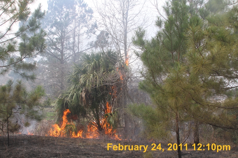 IMG_9253