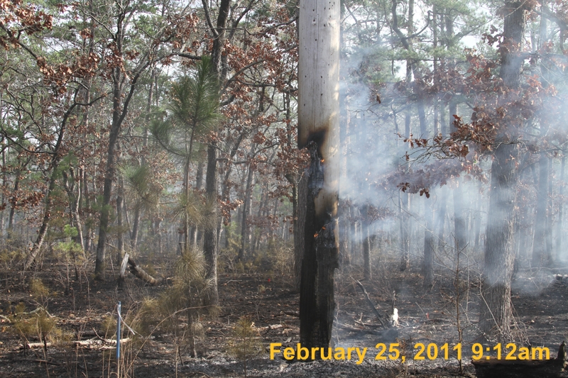 IMG_9329