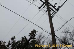 IMG_4458