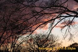 IMG_4550