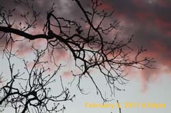 IMG_4558