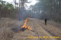 IMG_9127