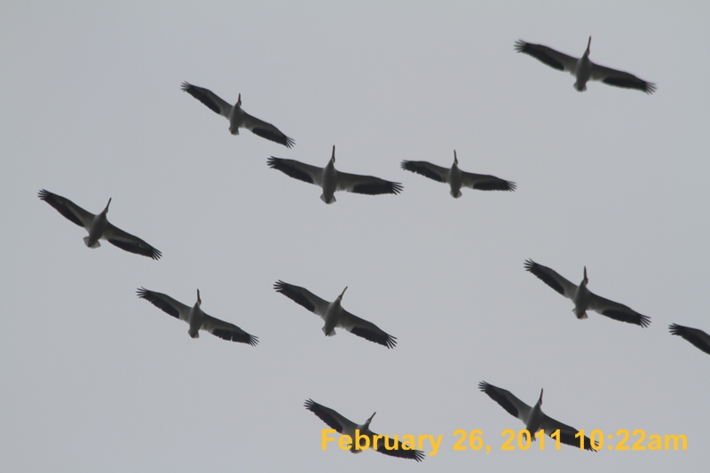 IMG_2099