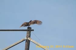 IMG_2085