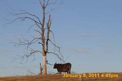 IMG_3807