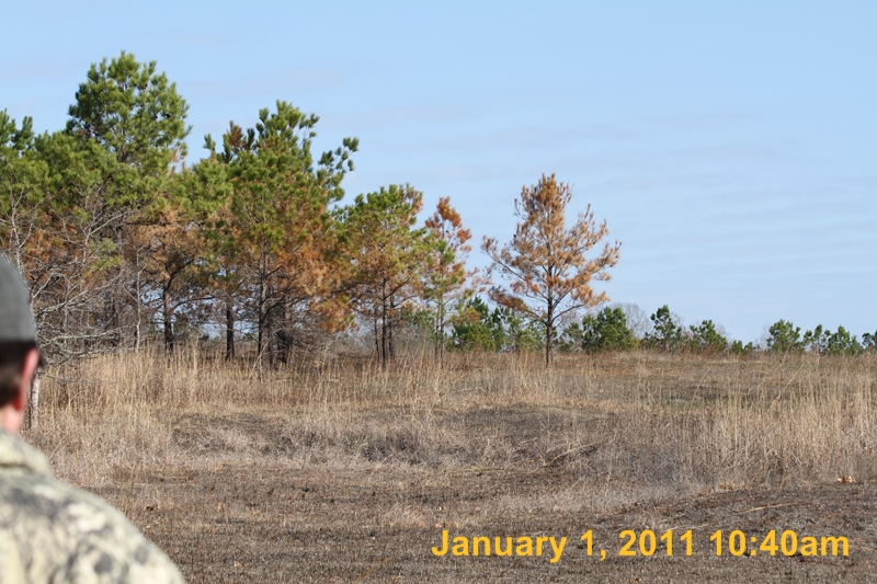 IMG_1771