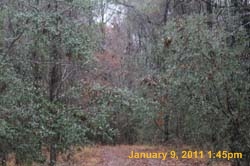 IMG_1882
