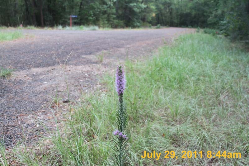 IMG_3479
