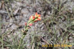 IMG_3367