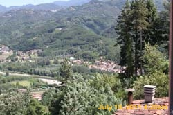 IMG_0702