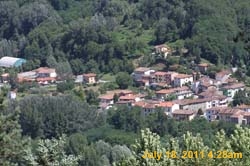 IMG_0703