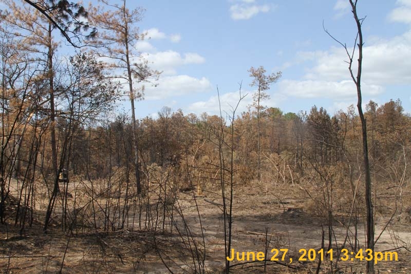 IMG_4636
