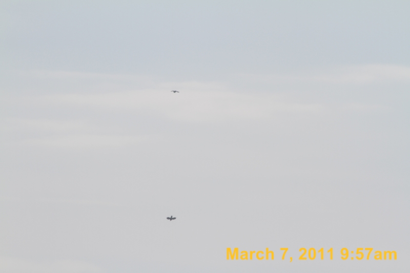 IMG_2285