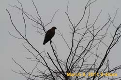 IMG_2400