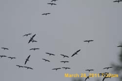 IMG_2471