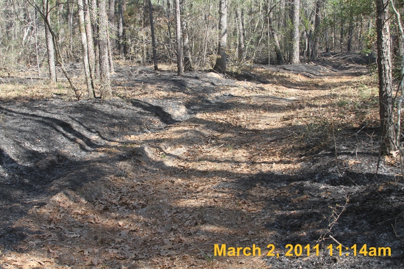 IMG_0082