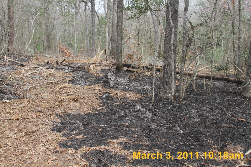 IMG_0289