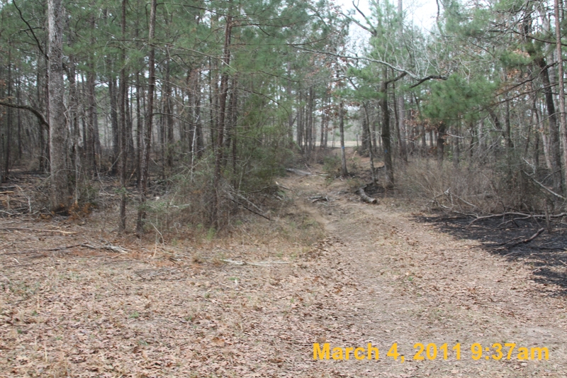 IMG_0648