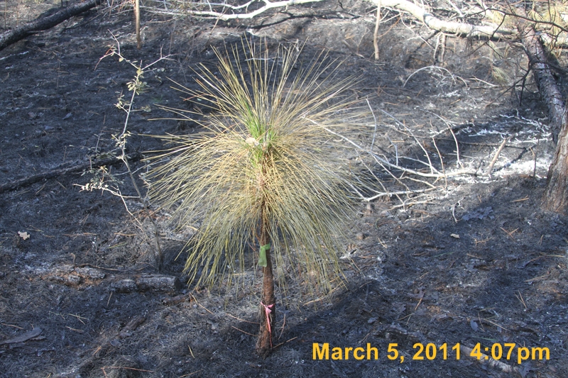 IMG_0783