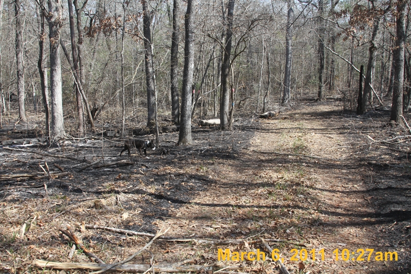 IMG_1035