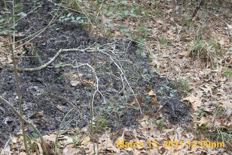 IMG_1780