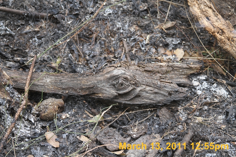 IMG_1836