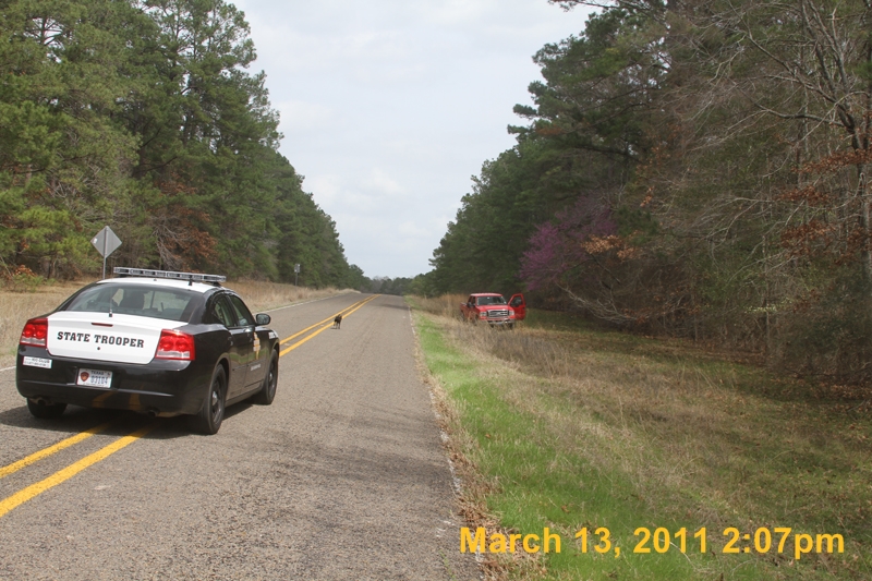 IMG_1869