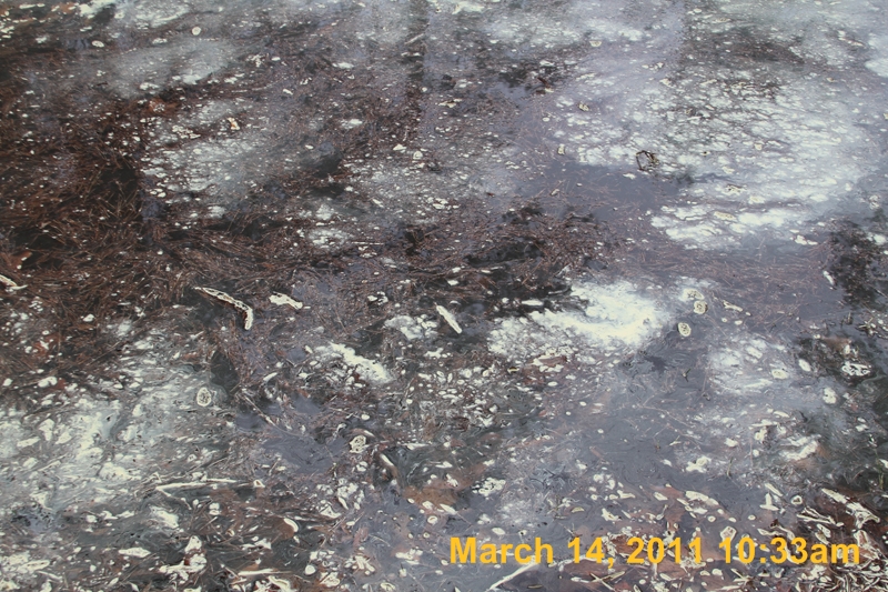 IMG_1899