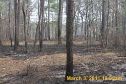 IMG_0265