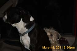 IMG_0633